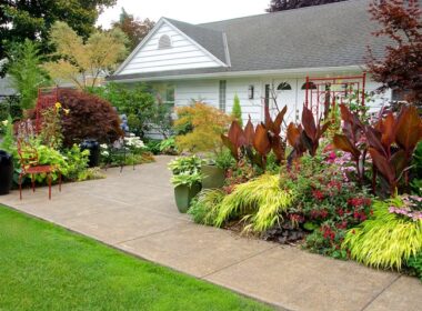 Front Yard Landscaping Idea
