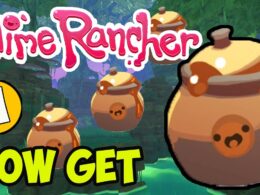 An Expert Guide To Getting Wild Honey In Slime Rancher
