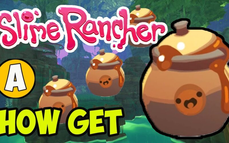 An Expert Guide To Getting Wild Honey In Slime Rancher