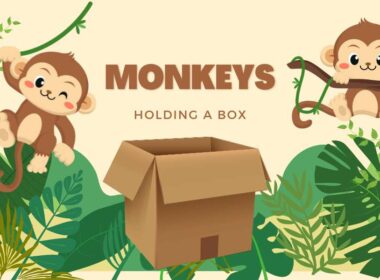 MONKEY HOLDING A BOX